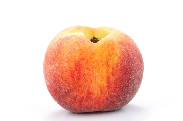 Pêche