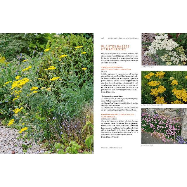 Toutes les plantes supportant la sécheresse (page intérieure) (D.R. / Ulmer)