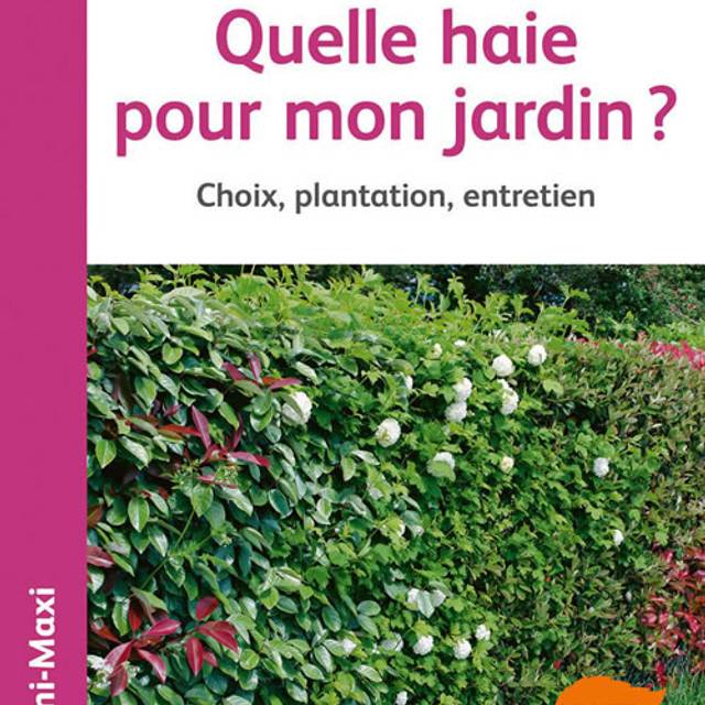 Quelle haie pour mon jardin ?