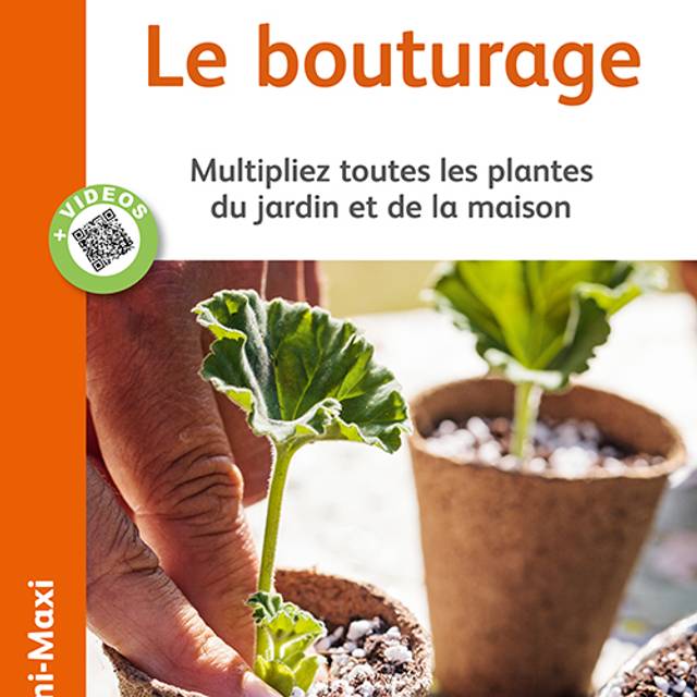 Le bouturage
