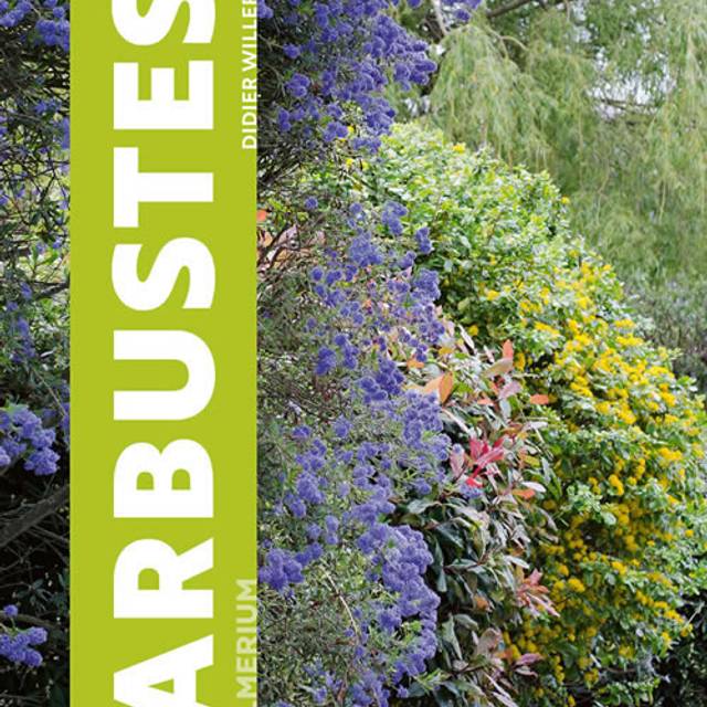 Arbustes