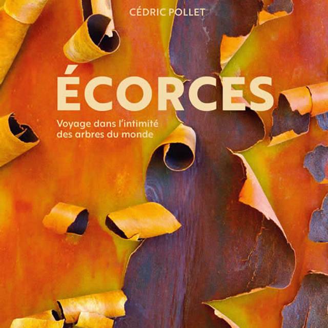 Écorces - Nvelle éd.