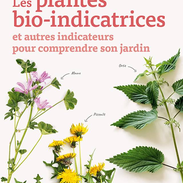 Les plantes bio-indicatrices