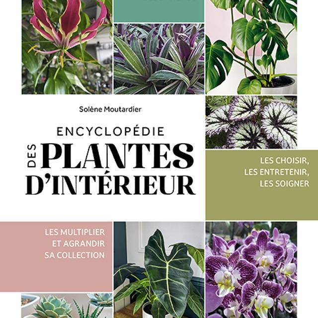 Encyclopédie des plantes d'intérieur