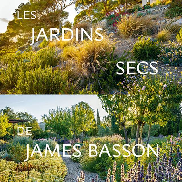 Les jardins secs de James Basson