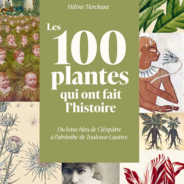 Les 100 plantes qui ont fait l'histoire