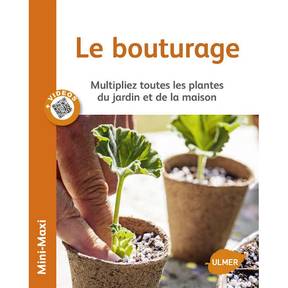 Le bouturage