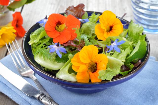 Salade avec fleurs comestibles de bourrache et de capucine