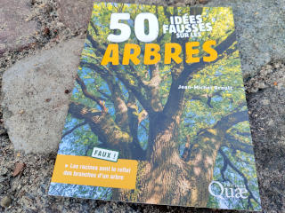 50 idées fausses sur les arbres