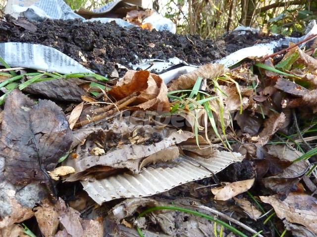 Empilement de matière pour potager en lasagne