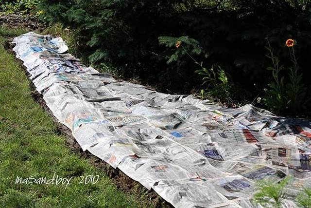 Préparatifs du potager en lasagnes