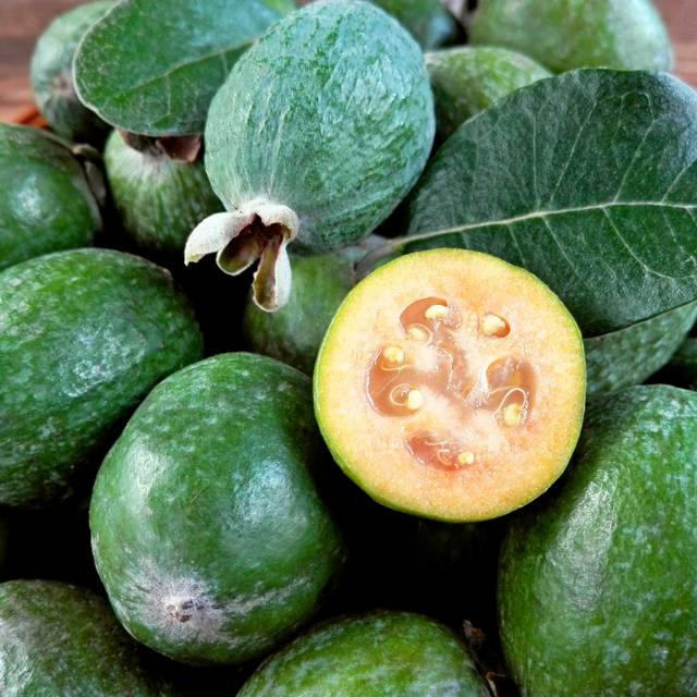 Acca sellowiana Gemini - Feijoa (Real Moment / Adobe Stock)