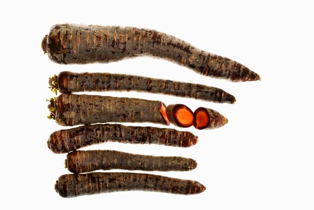 Carottes 'Purple Haze'