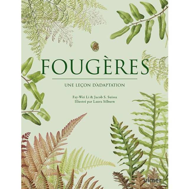 Fougères - Une leçon d'adaptation