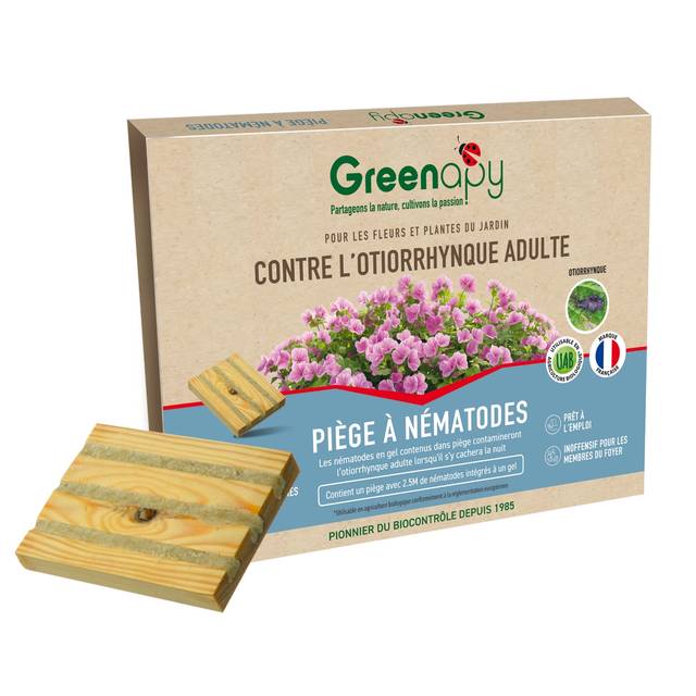 Piège à othiorrhynques adultes à base de nématodes (D.R. / Greenapy)