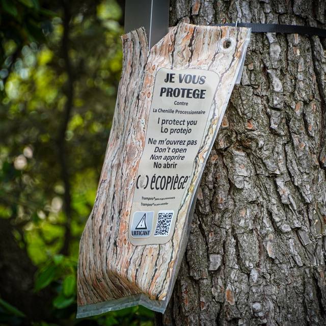 Piège à chenille processionnaire du pin 