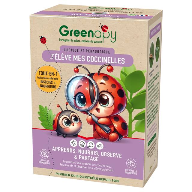 Kit pédagogique d'élevage de coccinelles COCCIFLY TOUT-EN-UN Matériel d'élevage + insectes et nourriture dans la boîte (D.R. / Greenapy)