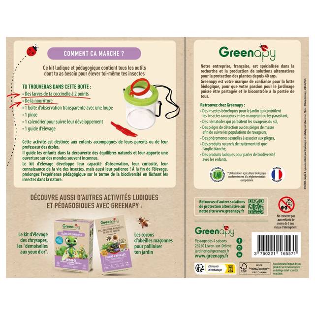 Kit pédagogique d'élevage de coccinelles COCCIFLY TOUT-EN-UN Matériel d'élevage + insectes et nourriture dans la boîte (D.R. / Greenapy)