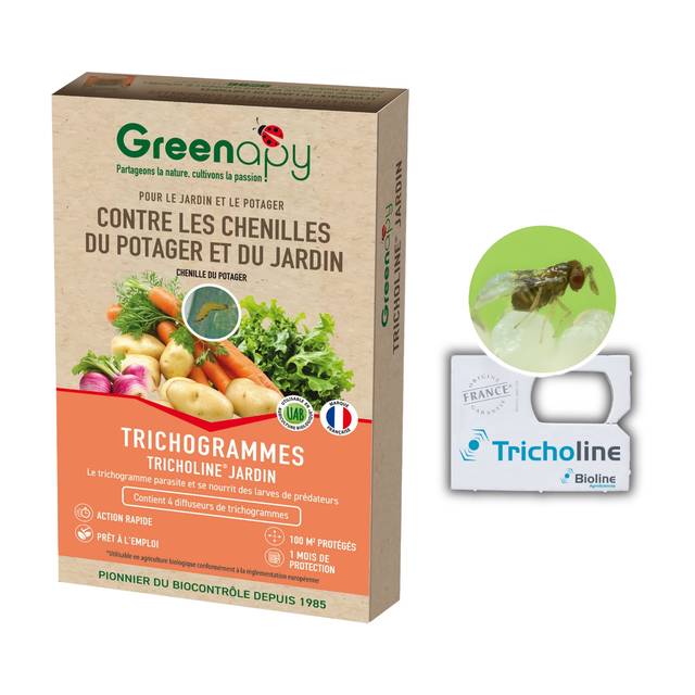 Tricholine jardins, chenilles du potager* (D.R. / Greenapy)