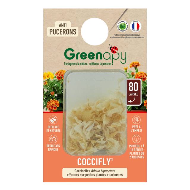 Coccifly 80 larves blister prêt à l'emploi anti-pucerons arbustes (D.R. / Greenapy)