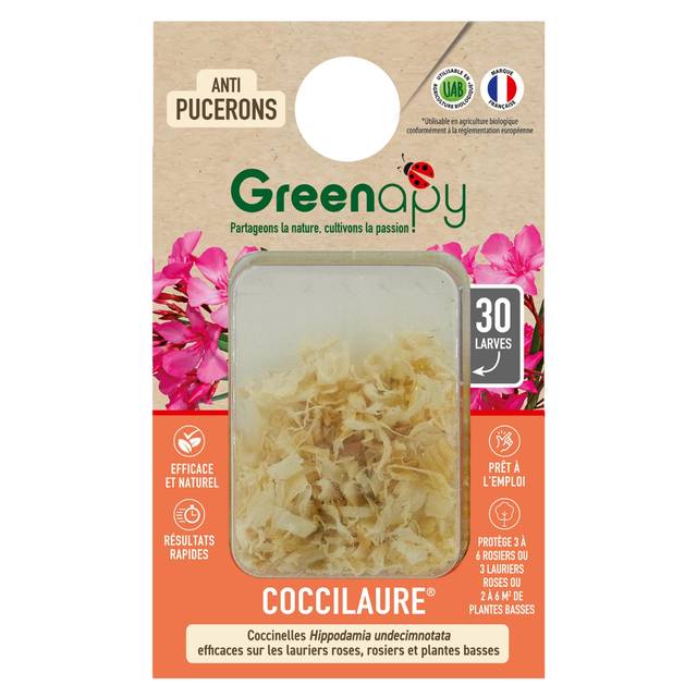 Coccilaure 30 larves blister prêt à l'emploi anti-pucerons lauriers roses et plantes basses (D.R. / Greenapy)