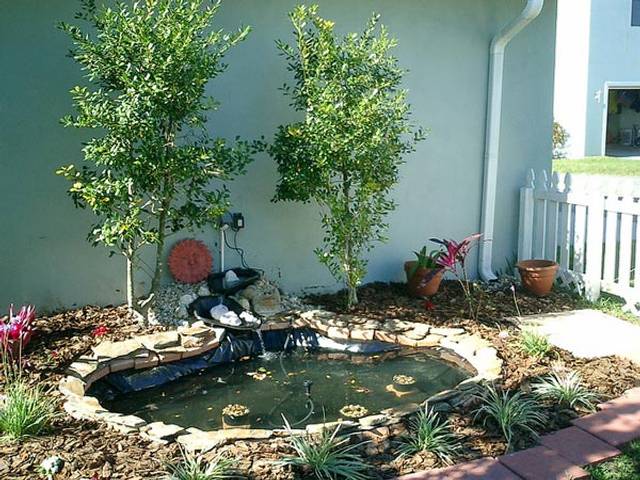 Bassin construit avec une bâche PVC