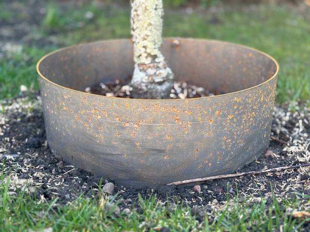 Bordure en métal pour protéger le pied d'un arbre