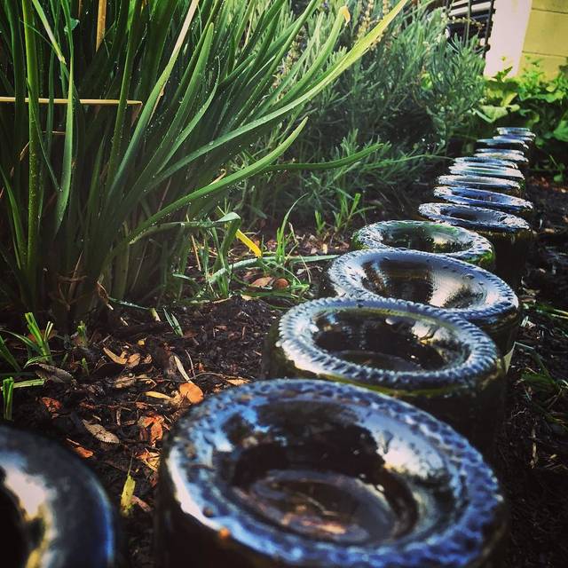 Bordure de jardin récup en bouteilles de vin