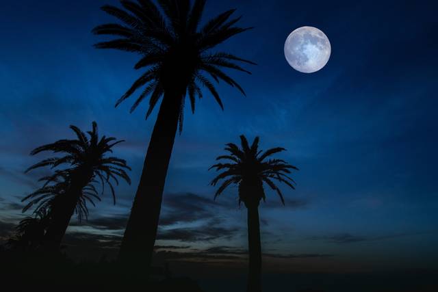 Lune sous les tropiques