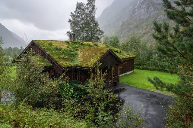 Toiture végétalisée sur une maison traditionnelle en Norvège