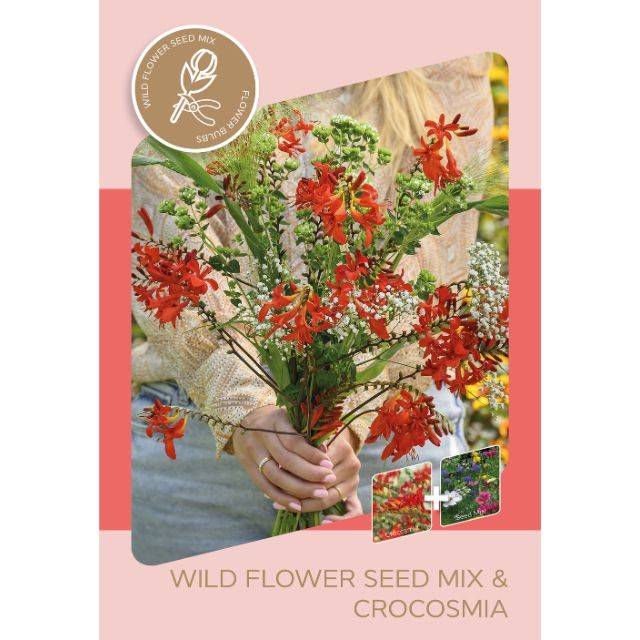 Kit Bouquet Champêtre - Crocosmias Lucifer et sachet de graines