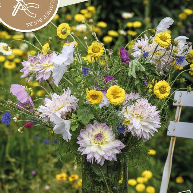 Kit Bouquet Champêtre - Dahlia Crazy Love et sachet  de graines