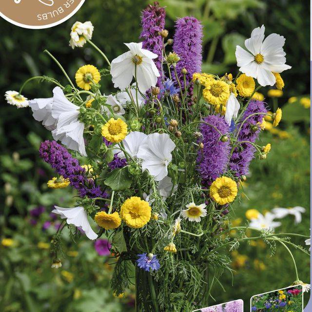 Kit Bouquet Champêtre -  Liastris spicata et sachet de graines