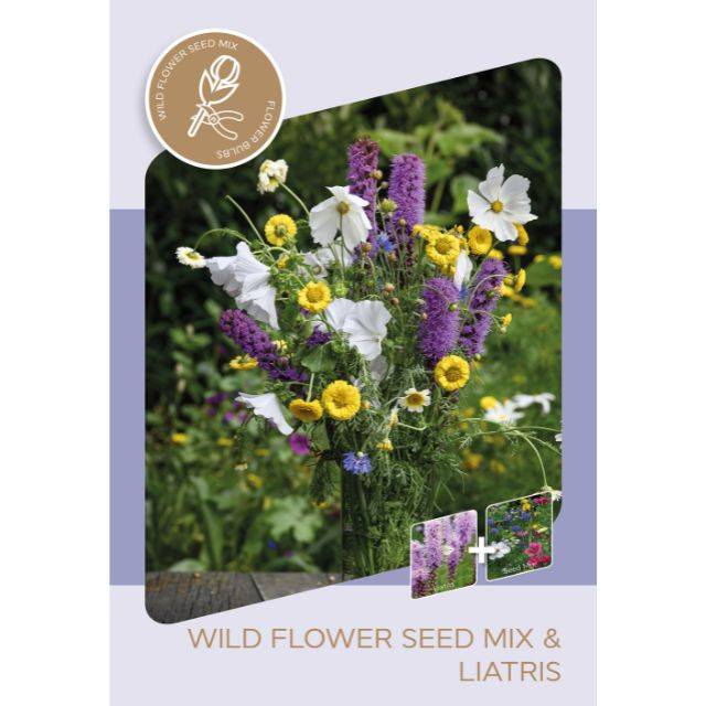 Kit Bouquet Champêtre -  Liastris spicata et sachet de graines