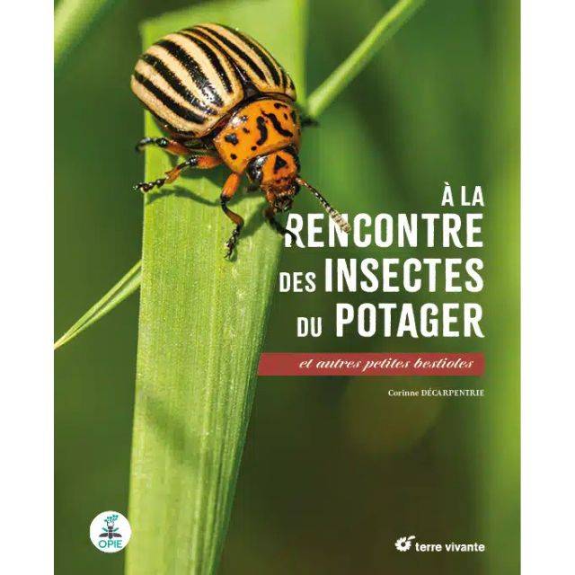 A la rencontre des insectes du potager (Ed. Terre Vivante)