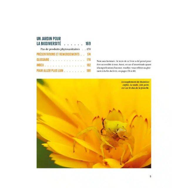 A la rencontre des insectes du potager (Ed. Terre Vivante)