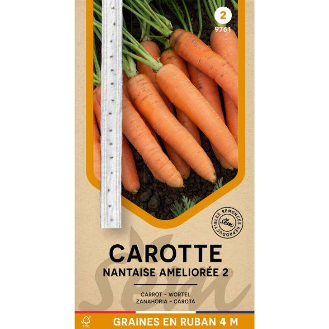 Carotte Nantaise 2 en ruban