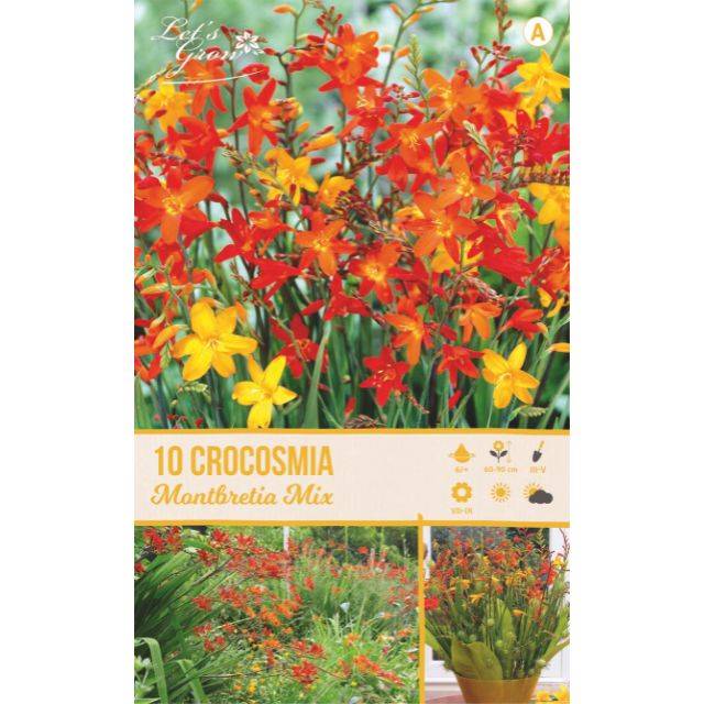 Crocosmias en mélange (Montbretia)