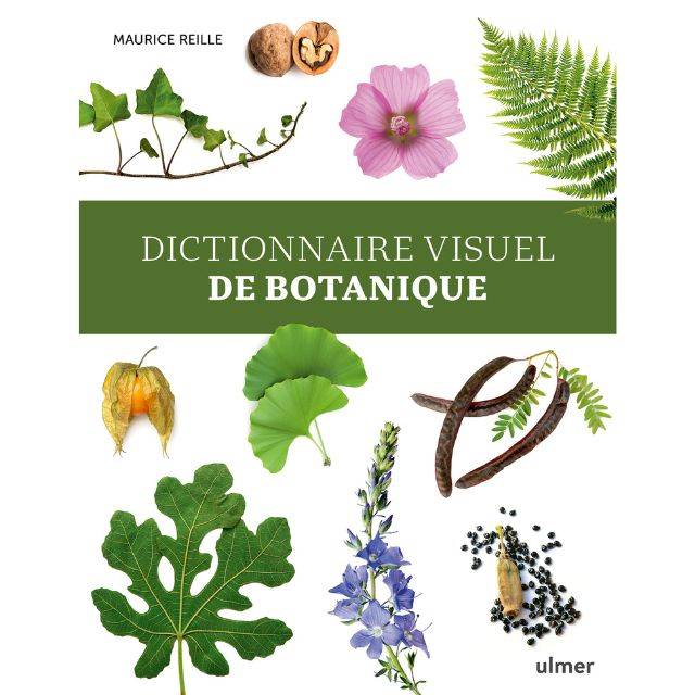 Dictionnaire visuel de botanique (Ed. Ulmer)