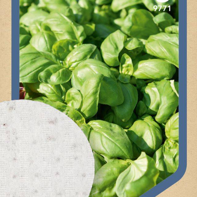 Basilic Grand Vert - 3 disques