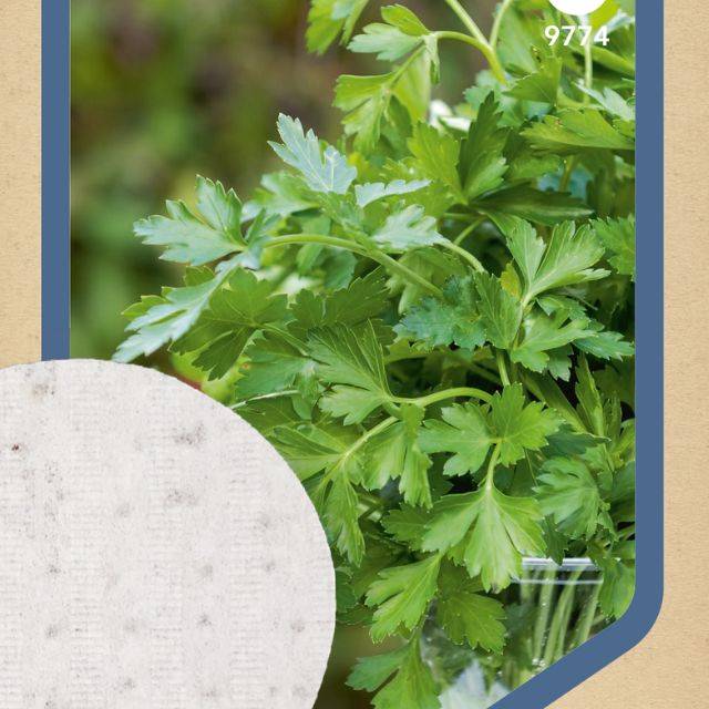 Persil simple - 3 disques