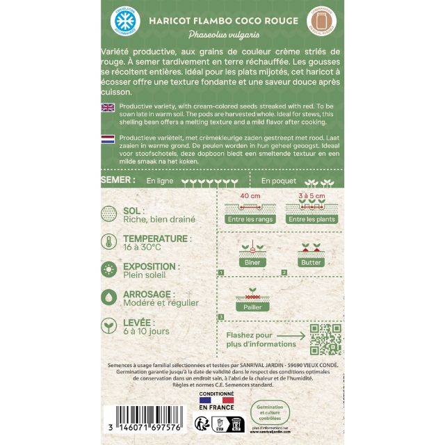 Haricot nain à écosser Flambo Coco Rouge