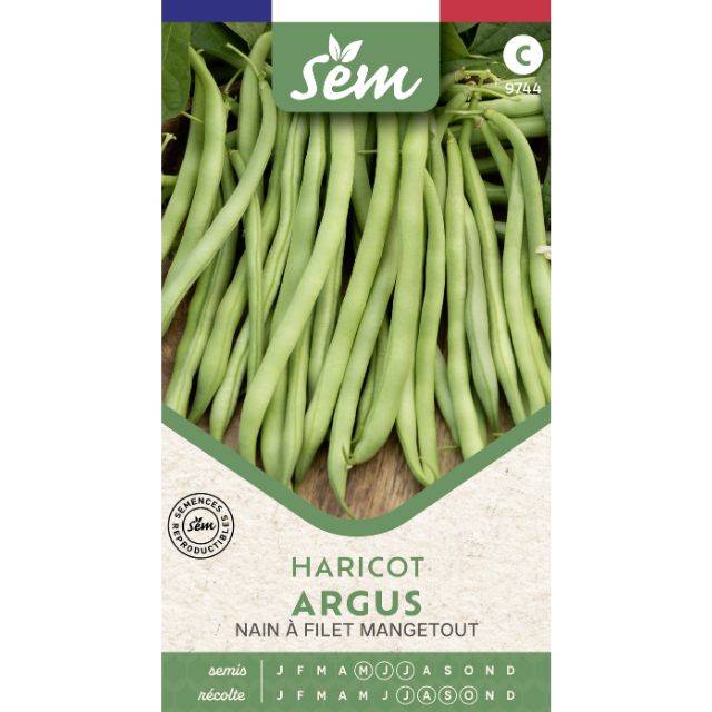 Haricot mangetout nain à filet Argus