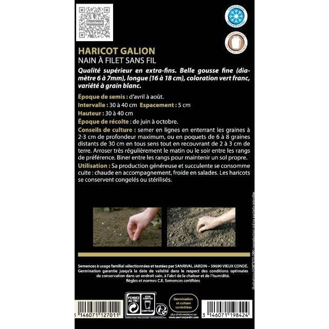 Haricot nain à filet sans fil Galion