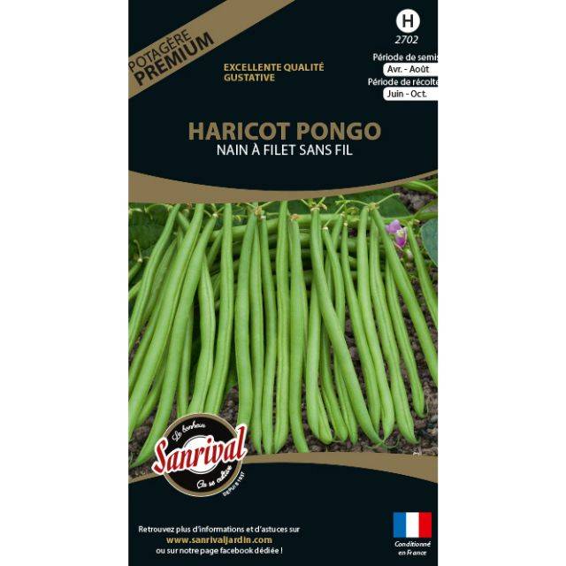 Haricot nain à filet sans fil Pongo