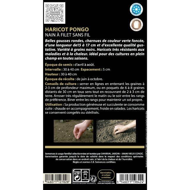 Haricot nain à filet sans fil Pongo