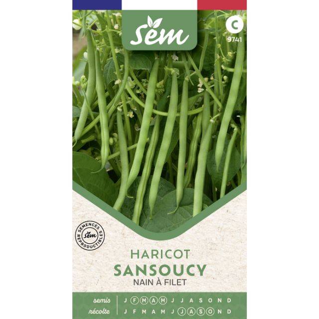 Haricot nain à filet Sancoucy