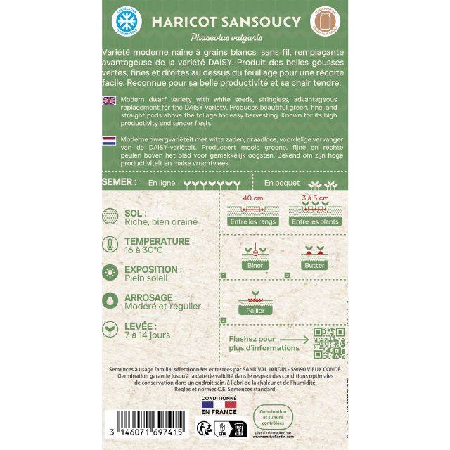 Haricot nain à filet Sancoucy