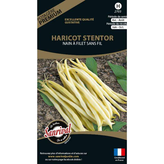 Haricot nain beurre Stentor