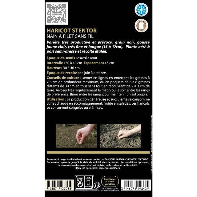 Haricot nain beurre Stentor